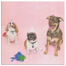 Load image into Gallery viewer, Fine Art Photography PUPPY PARTY