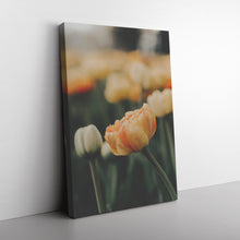 Load image into Gallery viewer, Fine Art Photography Strawberry Orange Tulip