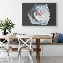 Load image into Gallery viewer, Fine Art Photography White Rose of the Deep