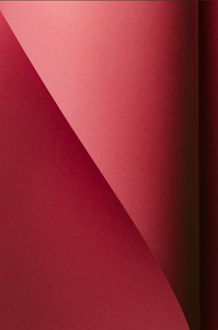 Fine Art Photography Abstract The Paper Rose