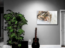 Load image into Gallery viewer, Fine Art Photography Ginger The Cat