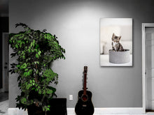 Load image into Gallery viewer, Fine Art Photography Cat Basket