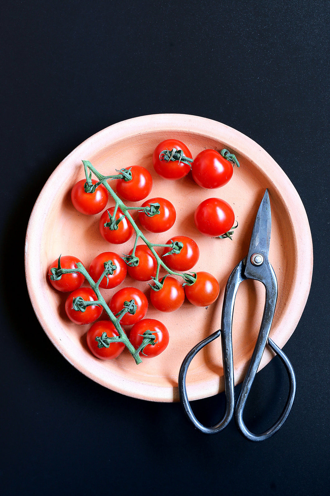 Fine Art Photography Bowl of Tomatoes