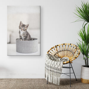 Fine Art Photography Cat Basket