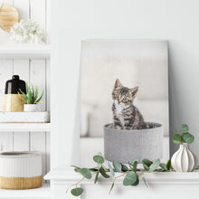 Load image into Gallery viewer, Fine Art Photography Cat Basket