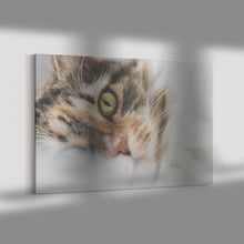 Load image into Gallery viewer, Fine Art Photography Ginger The Cat