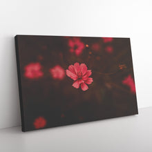 Load image into Gallery viewer, Fine Art Photography Pink Flower in Focus
