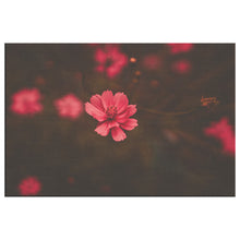Load image into Gallery viewer, Fine Art Photography Pink Flower in Focus