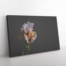 Load image into Gallery viewer, Fine Art Photography Regal Flower