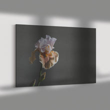 Load image into Gallery viewer, Fine Art Photography Regal Flower