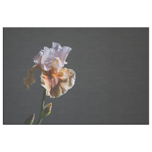 Fine Art Photography Regal Flower