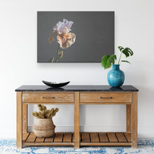 Load image into Gallery viewer, Fine Art Photography Regal Flower