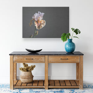 Fine Art Photography Regal Flower
