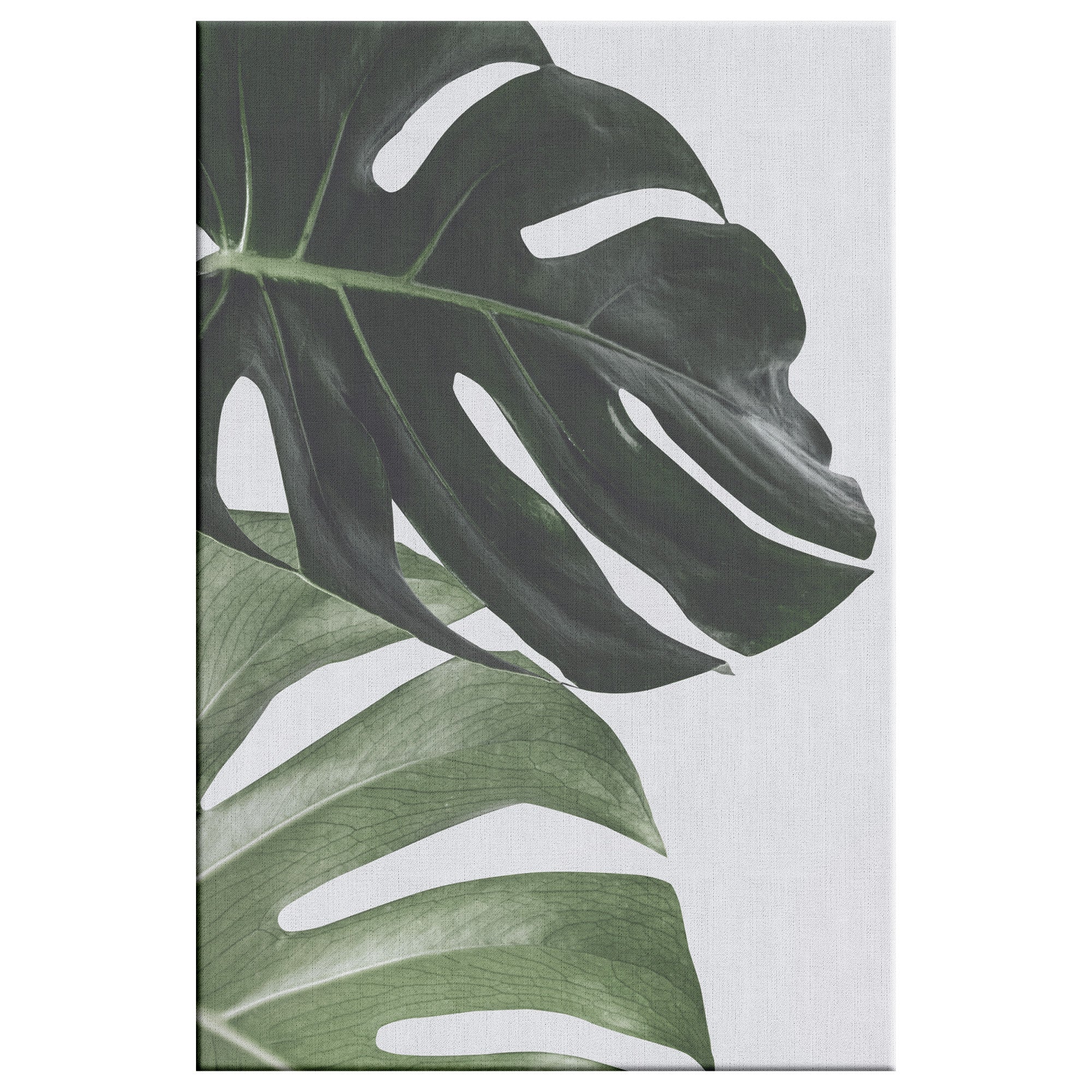 Fine Art Photography Statement Fern