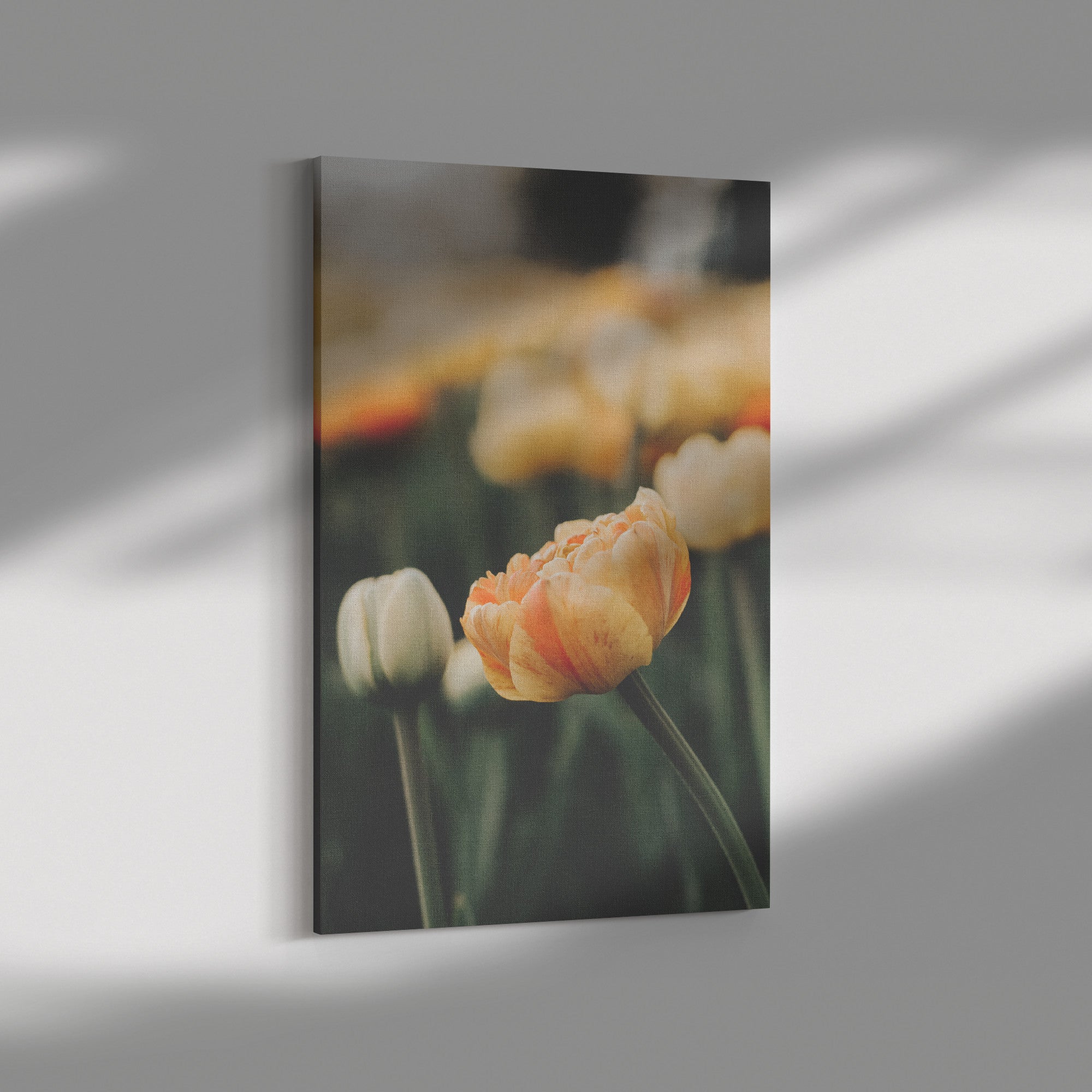 Fine Art Photography Strawberry Orange Tulip