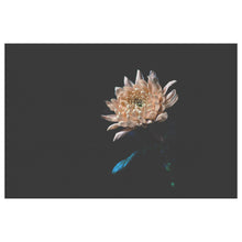 Load image into Gallery viewer, Fine Art Photography The Mystery Flower