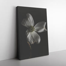 Load image into Gallery viewer, Fine Art Photography White Flower on Black