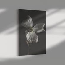 Load image into Gallery viewer, Fine Art Photography White Flower on Black