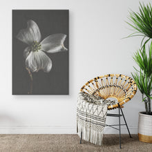 Load image into Gallery viewer, Fine Art Photography White Flower on Black