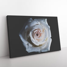 Load image into Gallery viewer, Fine Art Photography White Rose of the Deep