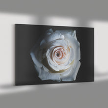 Load image into Gallery viewer, Fine Art Photography White Rose of the Deep