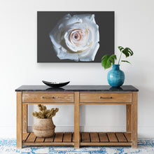 Load image into Gallery viewer, Fine Art Photography White Rose of the Deep
